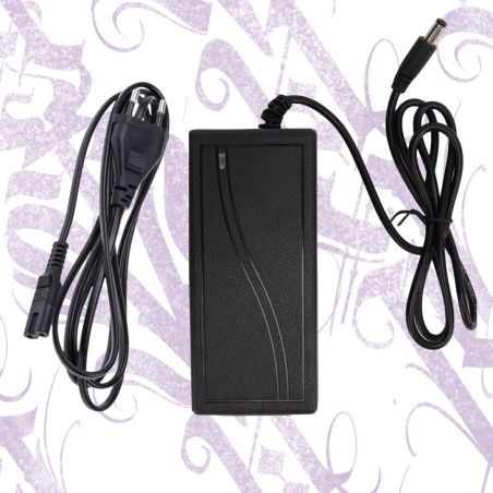 Adaptador Fuente De Alimentación Para Lámpara LED Con Cable de Conexión 