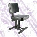 Silla Multifuncional Ajustable Tattoo